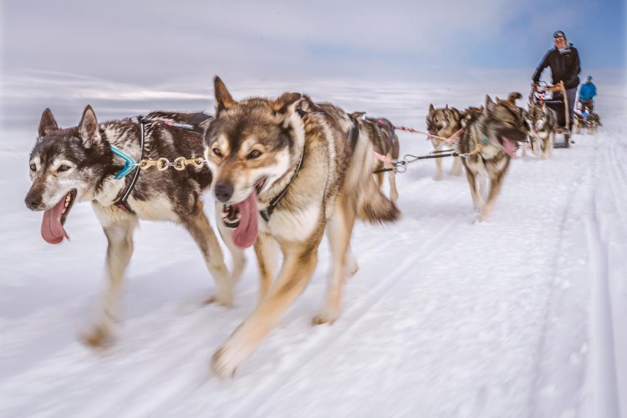 Harriniva Adventure Resort Muonio Exteriér fotografie