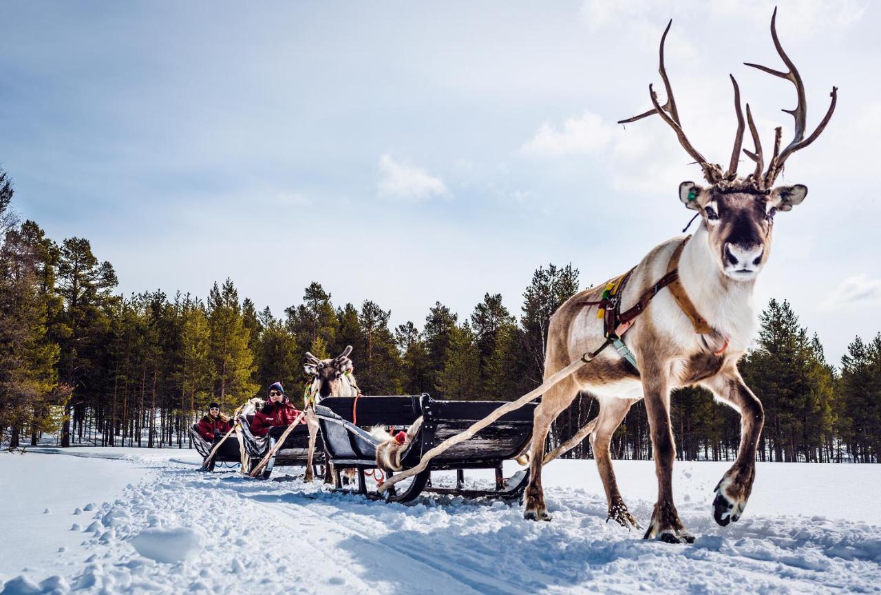 Harriniva Adventure Resort Muonio Exteriér fotografie