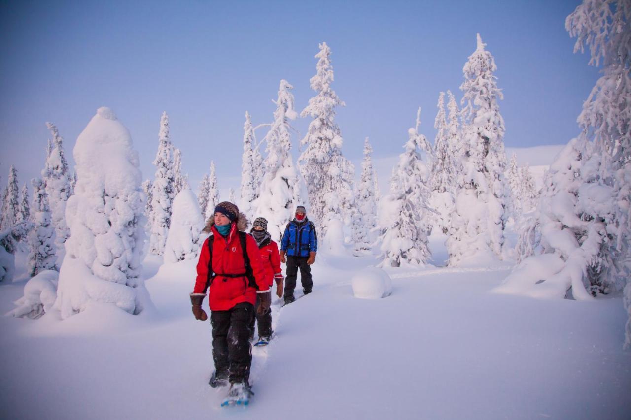 Harriniva Adventure Resort Muonio Exteriér fotografie