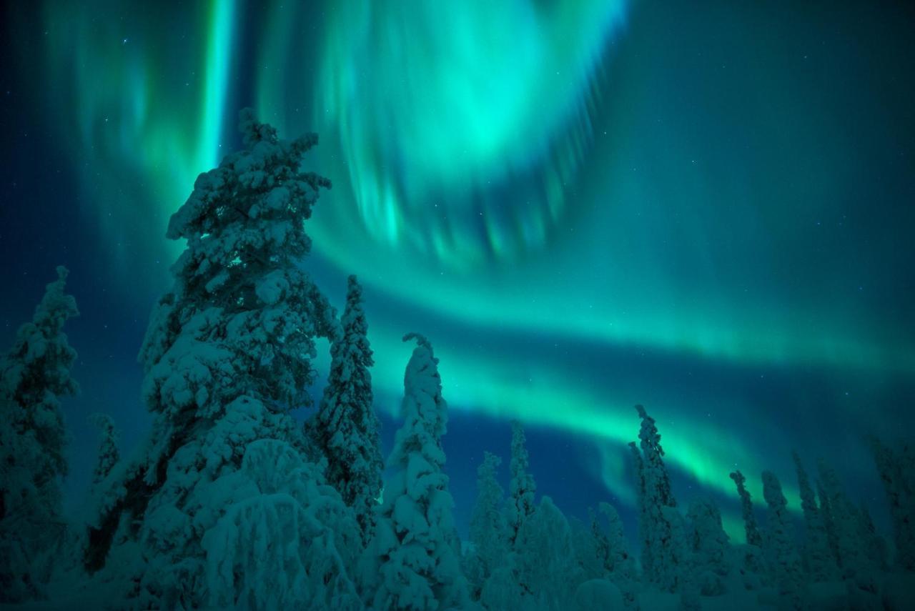 Harriniva Adventure Resort Muonio Exteriér fotografie