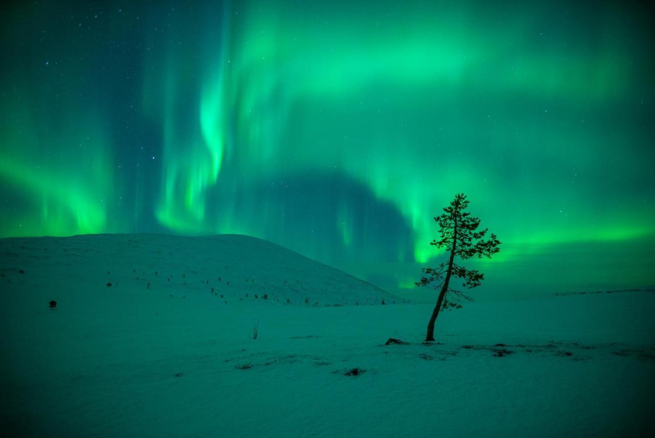 Harriniva Adventure Resort Muonio Exteriér fotografie
